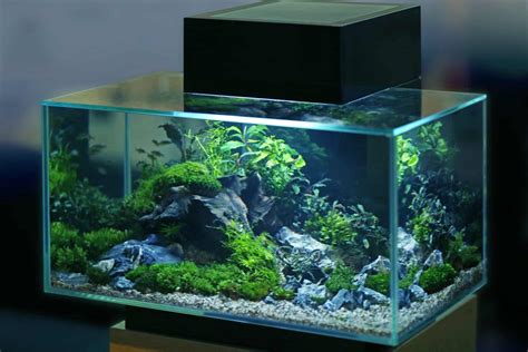Most Top Rated Aquarium Sump For Your Tank Aquariadise