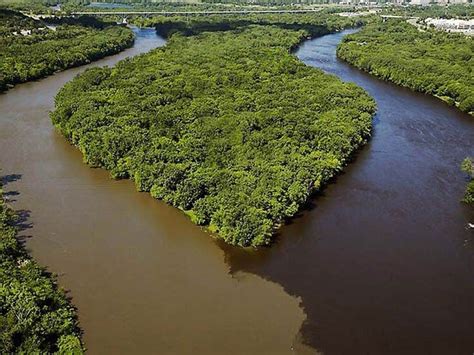 Meeting Of The Waters Manaus Brazil Amazon River Manaus Brazil