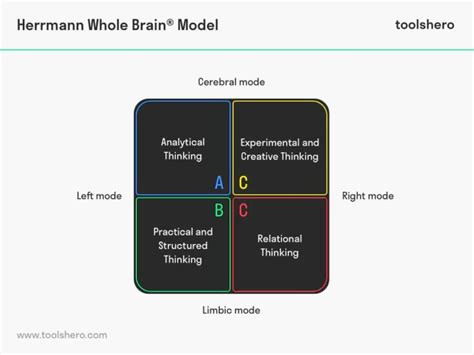 Herrmann Whole Brain Model Toolshero