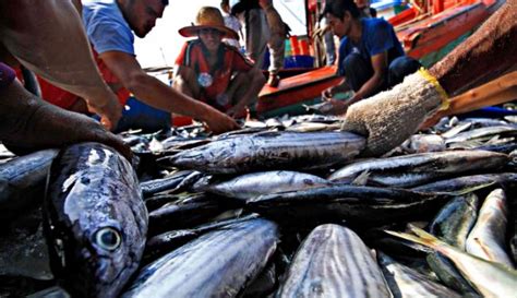 Hukum privat dibedakan menjadi beberapa macam antara lain adalah Mengelola Sumber Daya Laut: Antara Potensi Ekonomi dan ...