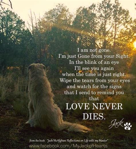 Pin By Gary Soon On Faith Dogs Dying Quotes Pet Loss Grief Miss My Dog