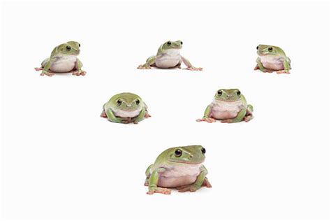 Frog Perspective Bilder Und Stockfotos Istock