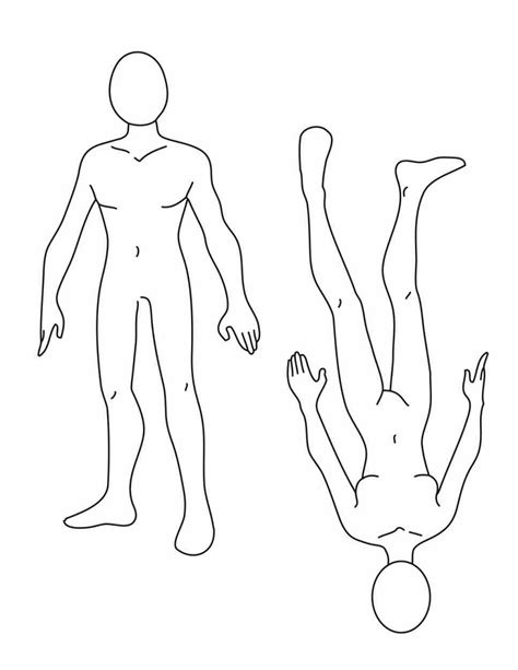 Human Body Line Drawing At Getdrawings Free Download