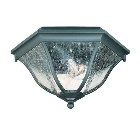Acclaim Flushmount Collection Ceiling Mount 2 Light Outdoor Fixture In