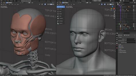 Anatomy And Form In Blender — Sculpting Course By Yan Sculpts — Prouserme