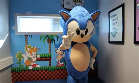 Sonic The Hedgehog Hedgehog Room Hedgehog Movie Sonic