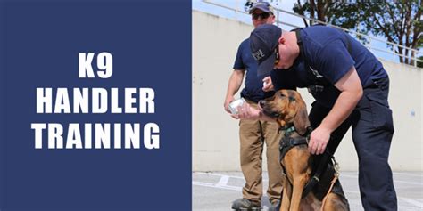 Law Enforcement And Sar K9 Training Scent Evidence K9