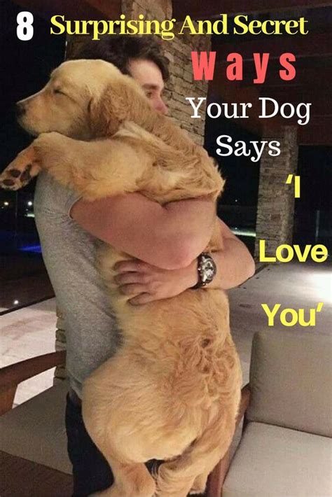 8 Surprising And Secret Ways Your Dog Says ‘i Love You Dog Love