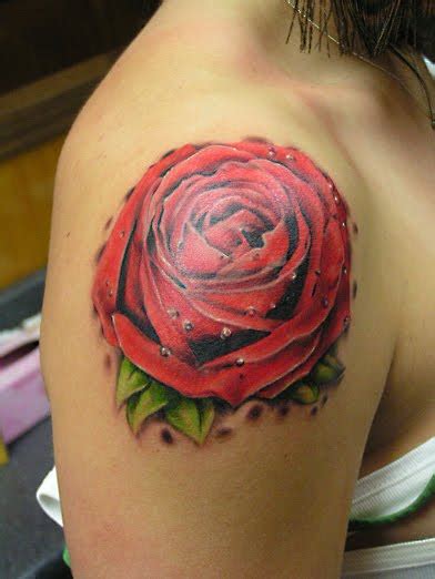 Tatto Design Only Rose Tattoo Designs