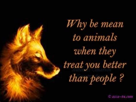 Why Be Mean To Animals They Treat You Better Than People Animals