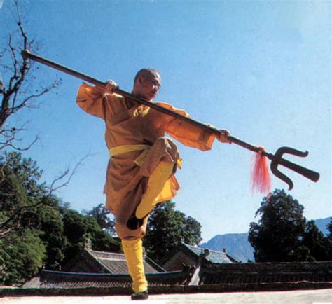 About American Shaolin Kung Fu