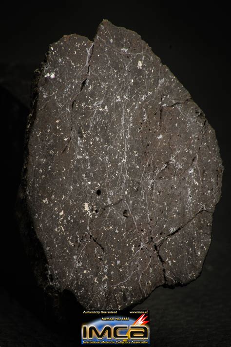 Rare 267g Impact Melt Breccia Imb Polished Section Chondrite Meteorite
