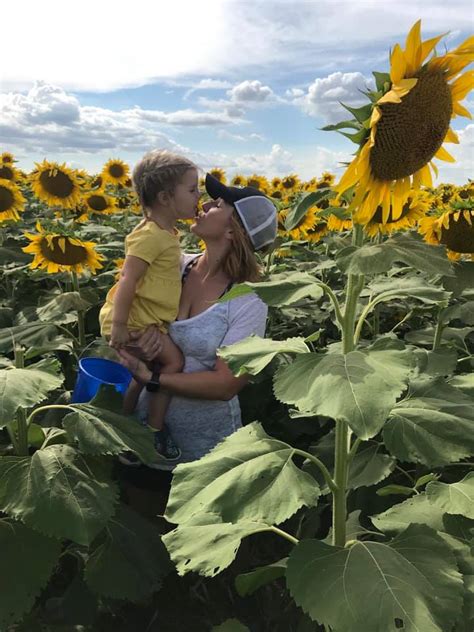 Visit These 7 Kansas Sunflower Fields That Begin Blooming In July
