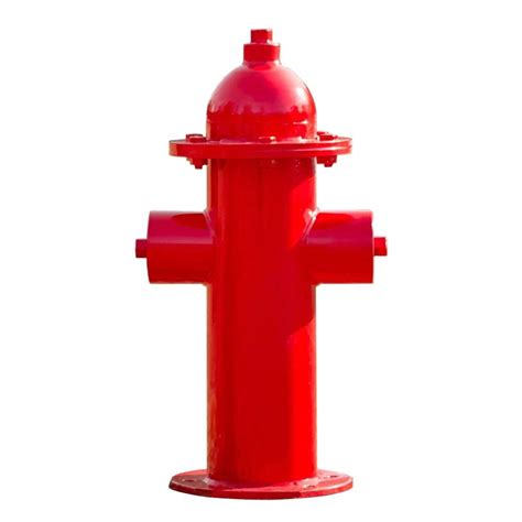 Download fire hydrant free images from stockfreeimages. Ultra Play Bark Park Fire Hydrant-TBARK-465 - The Home Depot