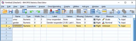 Pandangan Berubah Dalam Spss Dan Cara Membuat Pembolehubah Tutorial Excel