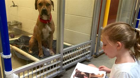 Kids Get Shelter Dogs Tails Wagging By Reading Them Tales