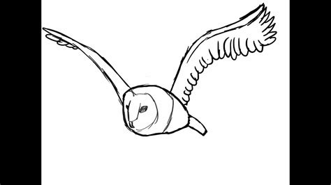 Barn Owl Flying Animation Youtube