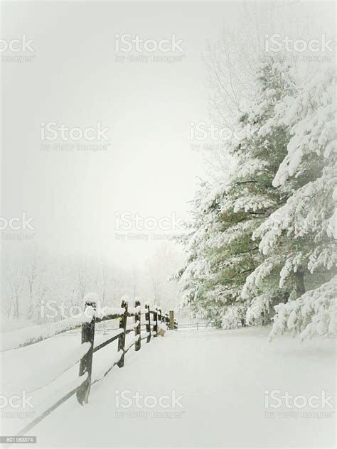 Peaceful Winter Scene Stock Photo Download Image Now 2015 Abstract