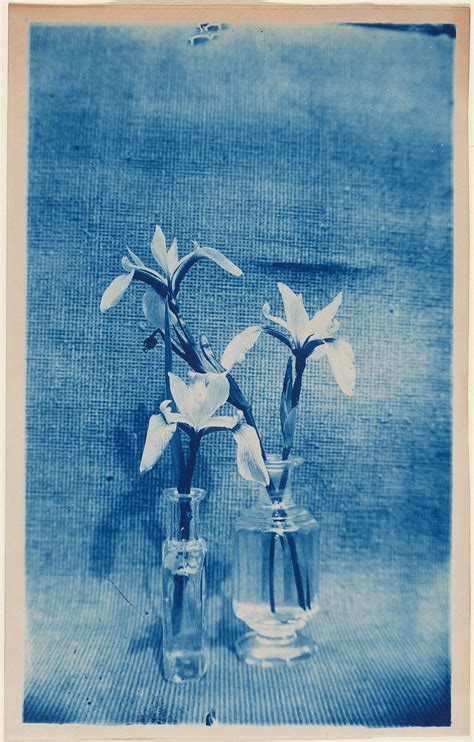 Arthur Wesley Dows Two Vases With Irises C 1900 Museum Of Fine