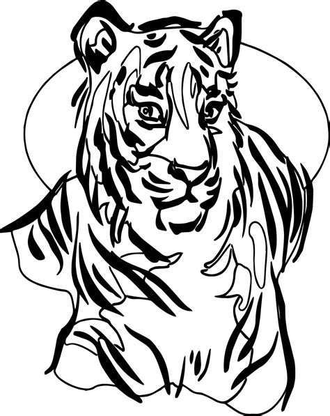Tiger Picture Coloring Page Wecoloringpage Com