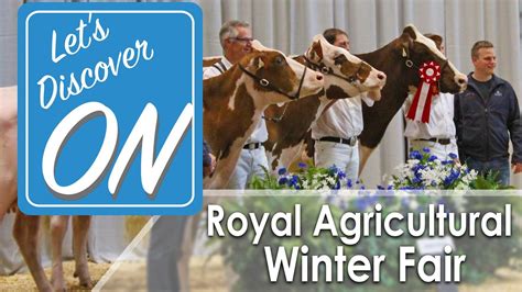 Royal Agricultural Winter Fair In Toronto Lets Discover On Youtube