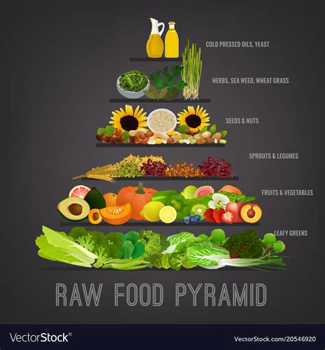 Raw Food Pyramid Royalty Free Vector Image VectorStock