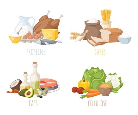 Nutrition Saine Protéines Lipides Glucides Régime Alimentaire