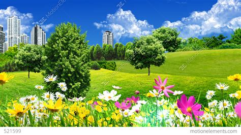 Green Meadows And Flowers Stock Animation 521599