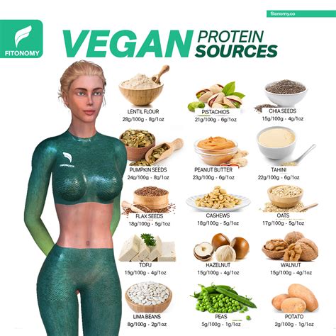Vegan Protein Sources Vegan Protein Sources Best Vegan Protein