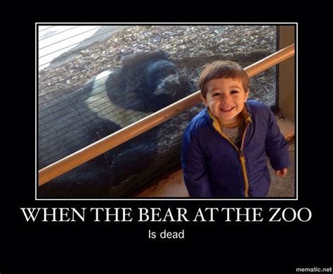 Funny Animal Meme Zoo Animal Memes Funny Animals Zoo