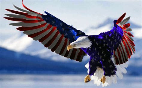 Bald Eagle American Flag Hd Wallpaper For Mobile Phones