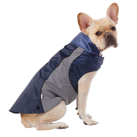 Tips On Pet Clothes Pet Apparel Design And Appearance