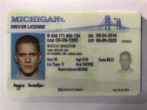Enter Your Michigan Driver License Or State Identification Number Geiyrop