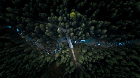2560x1440 Aerial View Forest 4k 1440p Resolution Hd 4k Wallpapers