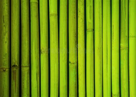 Texture En Bambou Verte De Barrière Fond En Bambou Fond De Texture