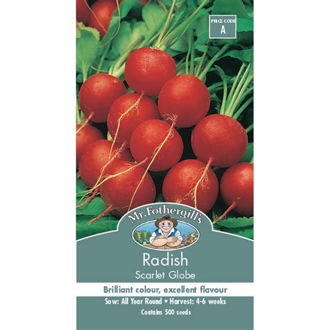 Mr Fothergills Scarlet Globe Radish Vegetable Seeds Bunnings Warehouse