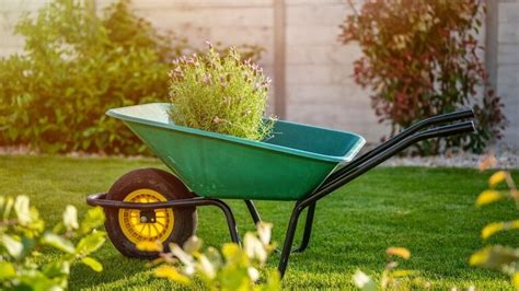 Best Wheelbarrows For Gardening Sep 2023 Review And Buying Guide