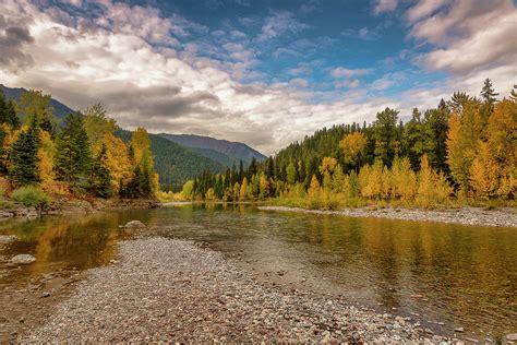 Fall On The Middle Fork Of The Flathead River Glacier National P