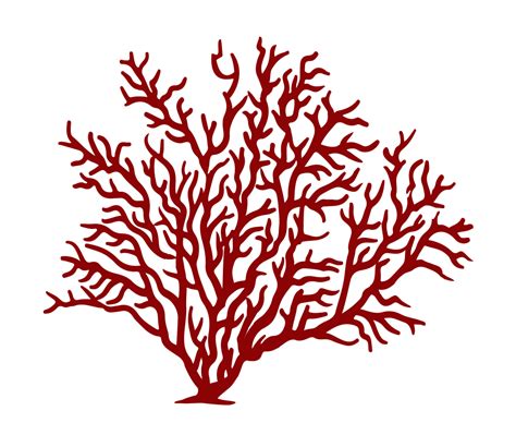 Coral Clipart Soft Coral Coral Soft Coral Transparent Free For