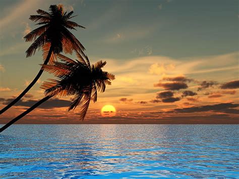 Sunset Beach Untuk Ponsel And Tablet Anda Jelajahi Matahari