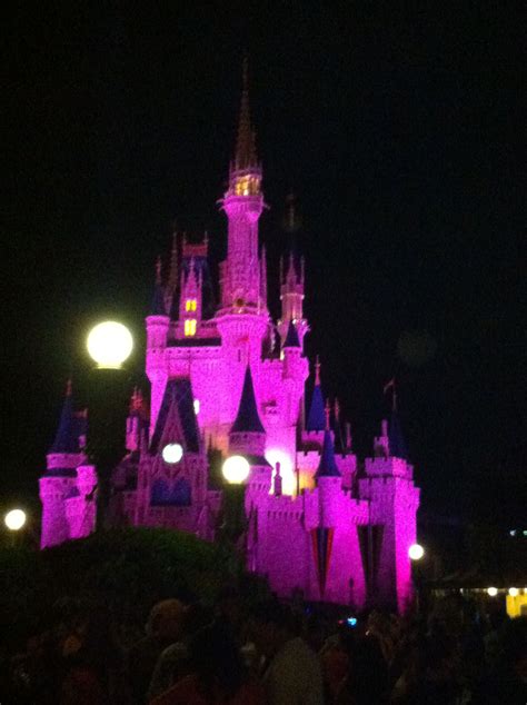 The happiest place on earth :) | Magic castle, Magic kingdom, Happiest place on earth