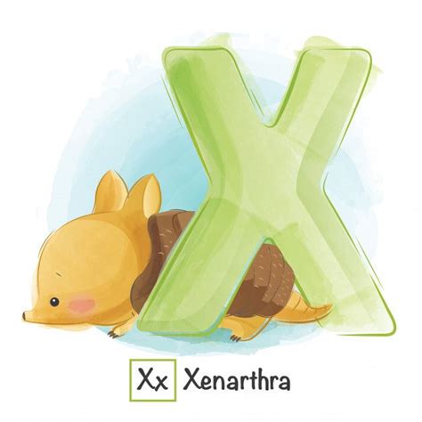 Alphabet Animal X Animal Alphabet Animal Alphabet Letters