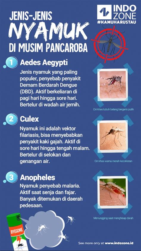 Jenis Jenis Nyamuk Di Musim Pancaroba Indozoneid