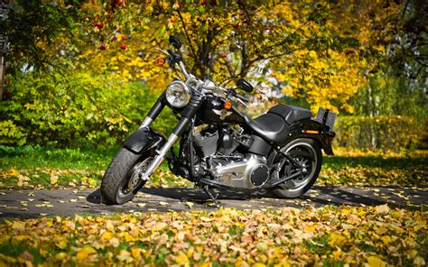 Harley Davidson Hd Wallpaper Background Image 2560x1600 Id216879