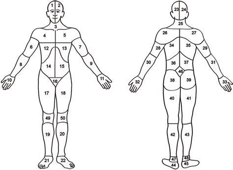 Body Map Head Area 1 2 23 Or 24 Neck Area 3 Or 25 Shoulders Download Scientific