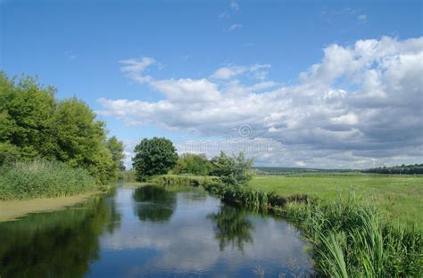 River Land With Trees And Cloudy Sky Stock Image Image Of Aqua