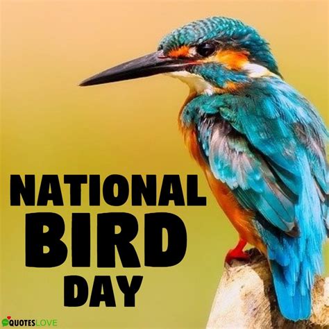 Latest National Bird Day 2022 Images Poster Pictures Photos