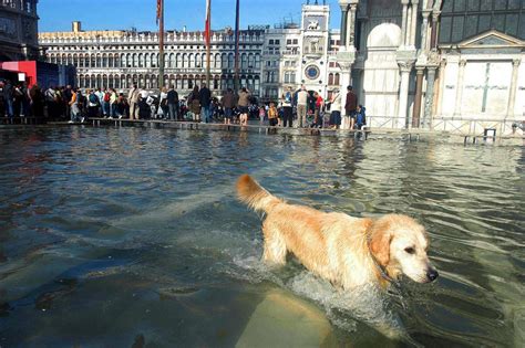 Why Is Venice Underwater Brainbend