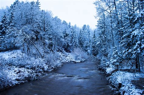 Pictures Winter Nature Negroid Forest Rivers Trees