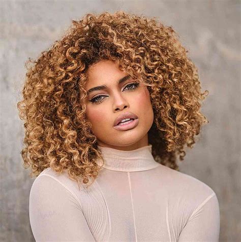 Update More Than 160 Curly Hairstyles For Black Women Best Vn